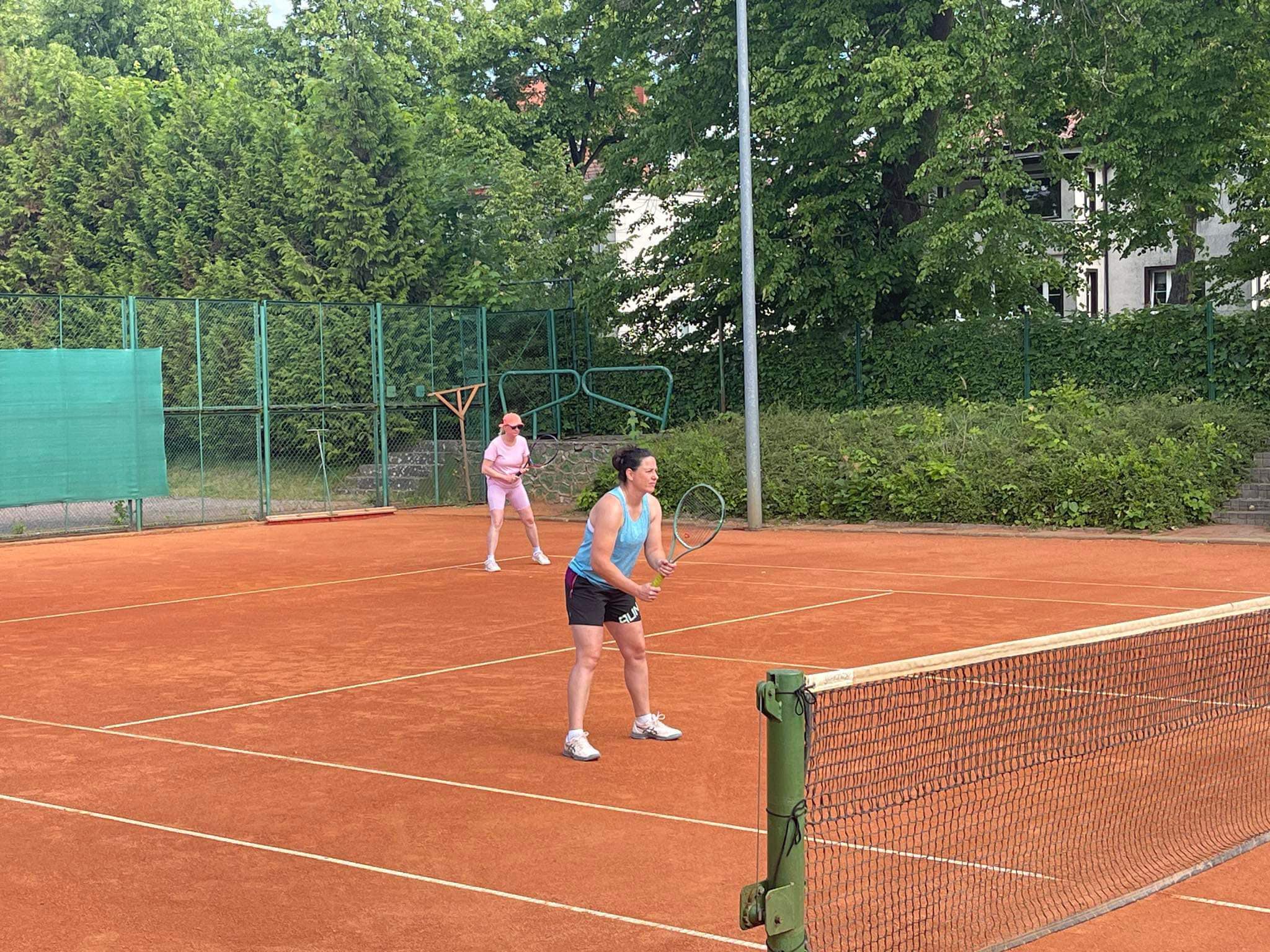Tenis ziemny